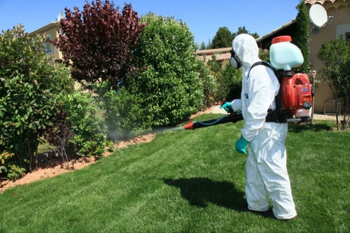 Converse Mosquito Control