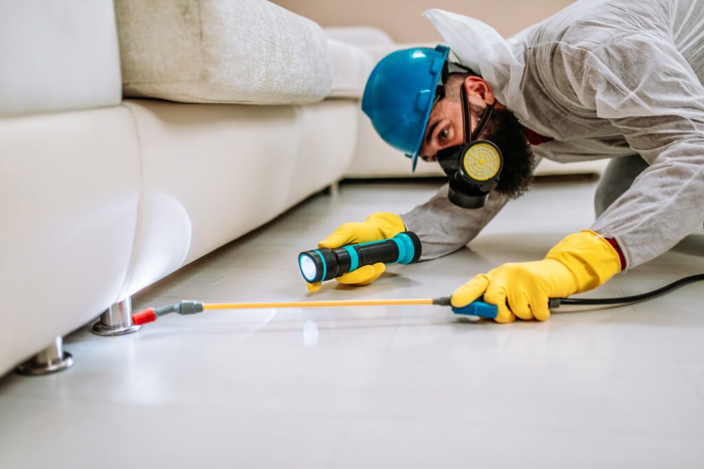 Converse Termite Control