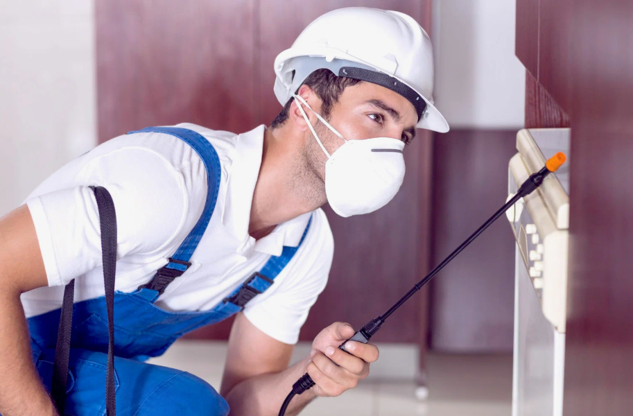 Converse local pest services